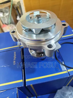 Ford F150 5.4L,4.6L Water Pulp