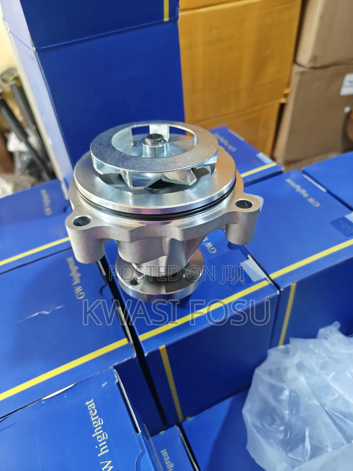 Ford F150 5.4L,4.6L Water Pulp