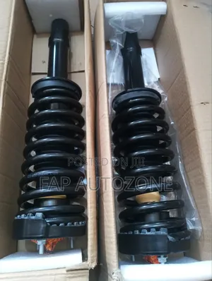 Genuine Chrysler 300,Charger, Magnum Complete Strut Assembly From USA