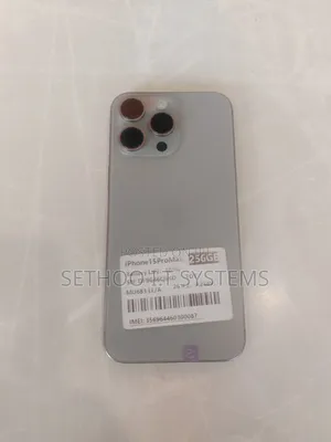 Apple iPhone 15 Pro Max 256 GB Gray