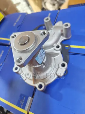 Ford Fiesta Water Pulp