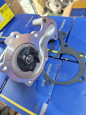 Ford Fiesta Water Pulp
