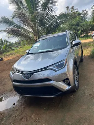 Toyota RAV4 XLE 4dr SUV (2.5L 4cyl 6A) 2018 Silver