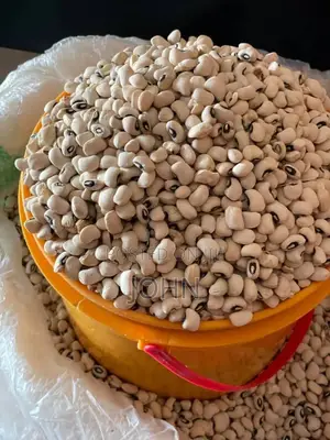 Mamani Foods