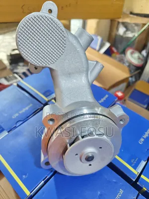 Ford Mustang Water Pulp