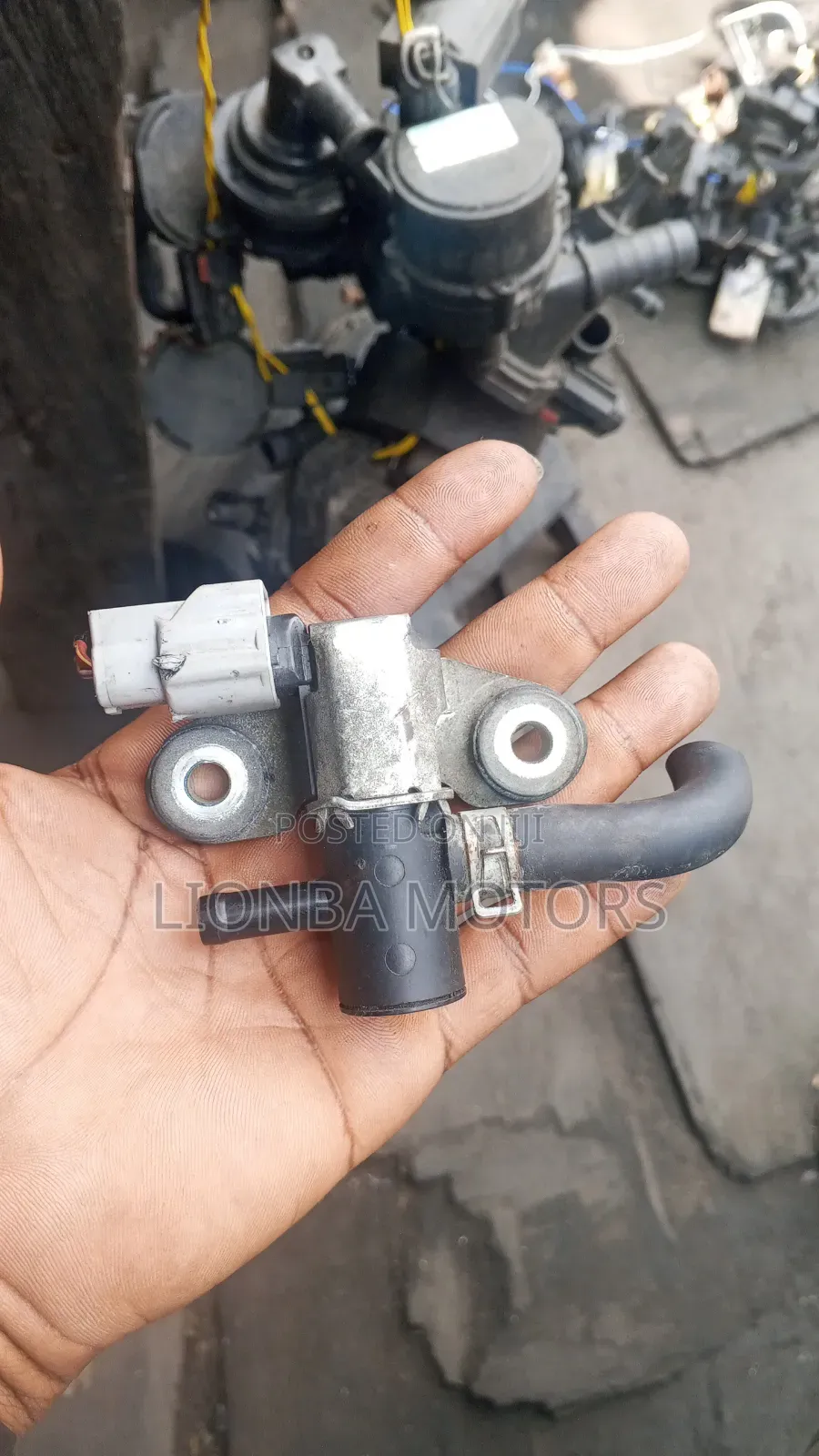 Nusan Sentra Purge Valve
