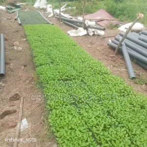 Drip Irrigation Dam Expect