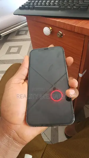 Apple iPhone 12 Pro 256 GB Gray