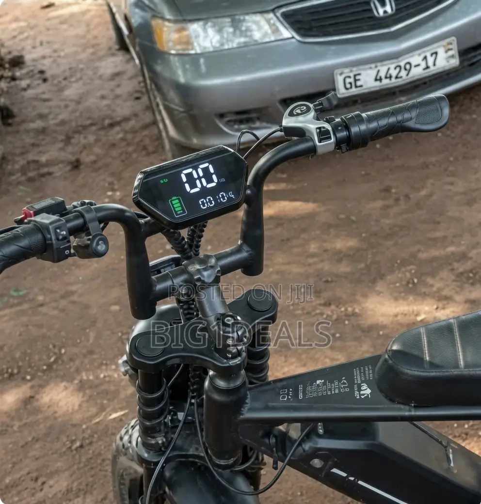 V8 Electric Bicycle 2019 Double Strong Battery