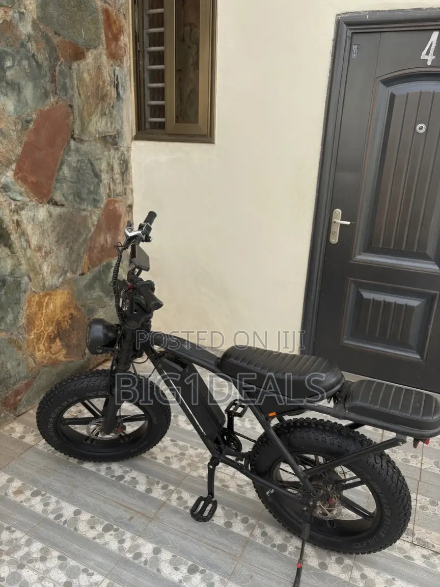 V8 Electric Bicycle 2019 Double Strong Battery