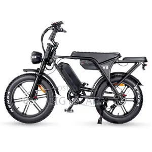 V8 Electric Bicycle 2019 Double Strong Battery