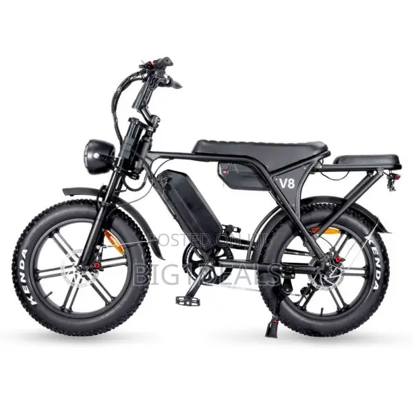 V8 Electric Bicycle 2019 Double Strong Battery