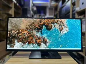 Dell Ultrawide 29-Inch Monitor
