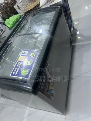 Display Freezer 405