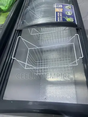 Display Freezer 405
