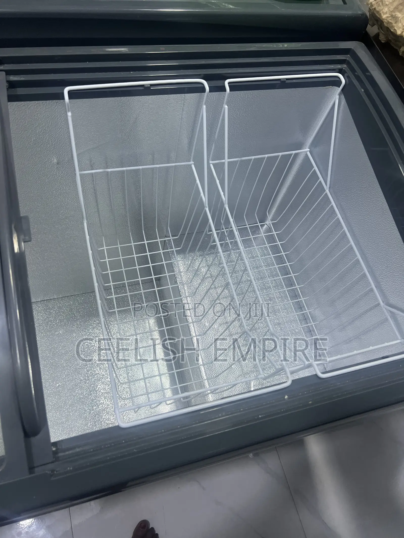 Display Freezer 405