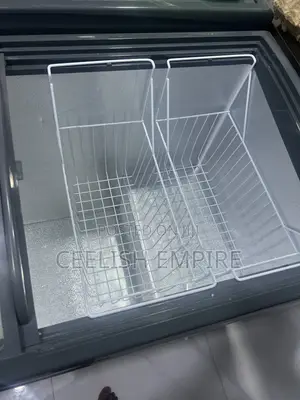 Display Freezer 405