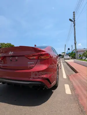Car Rental
