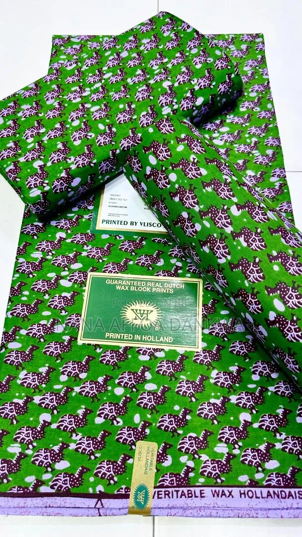 Dutch Hollandis Clothes