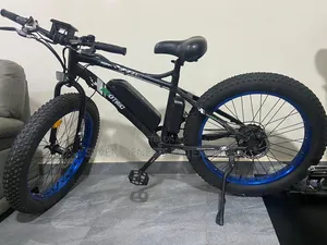 Electric Bicycle for Sale (E-Bike )