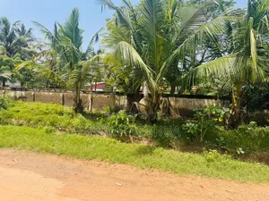 A Very Spacious Half Plot of Land for Sale at Teshie Nungua Estate.