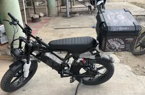 Electric Bike