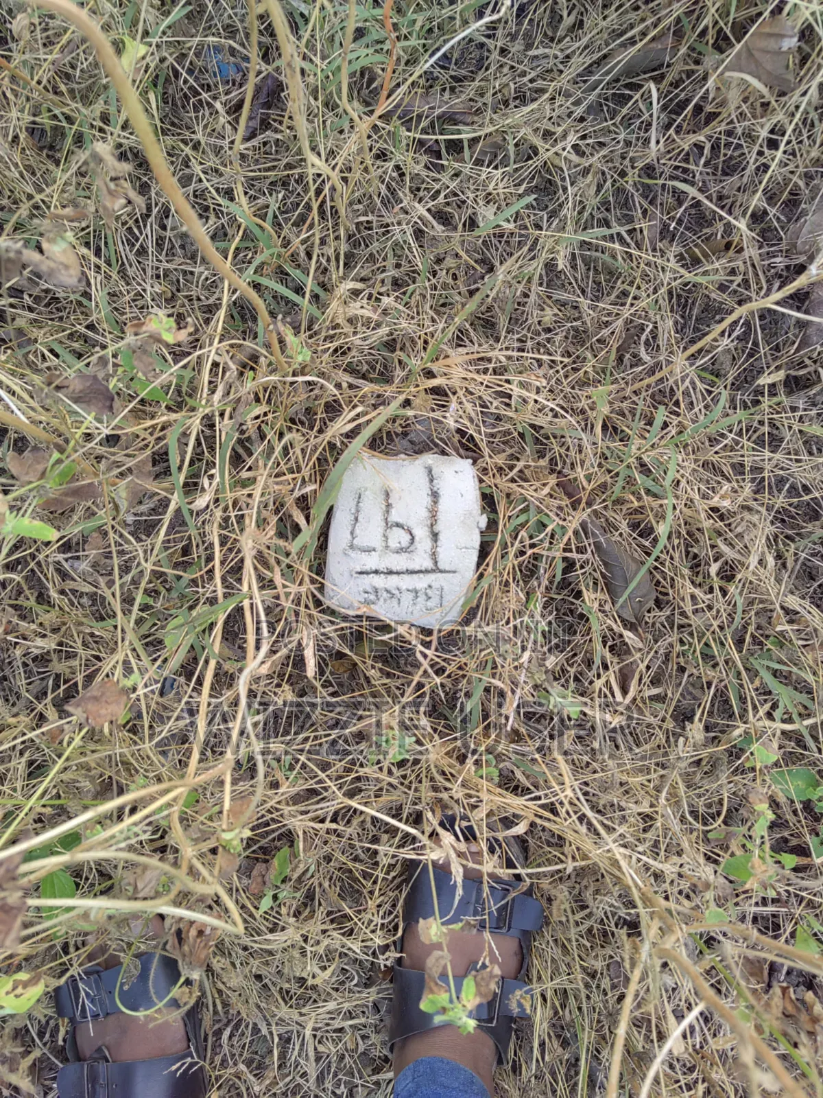 Two Plots of Land for Sale