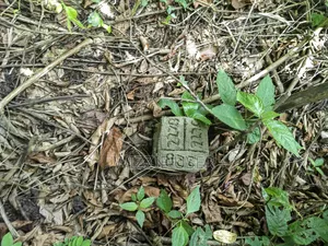 Two Plots of Land for Sale