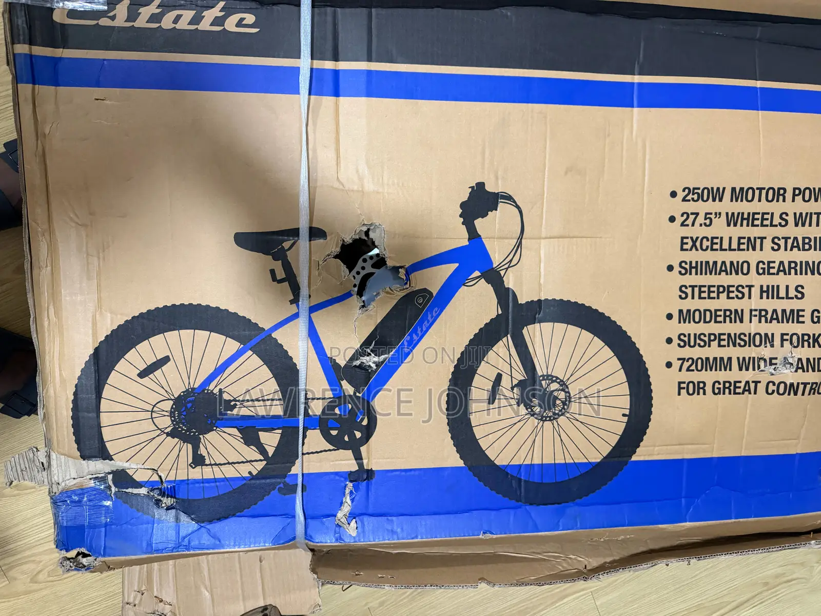 Electric Mountain Bicycle