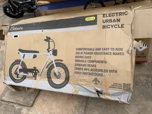 Electric Urban Bicycle