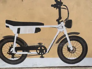Electric Urban Bicycle