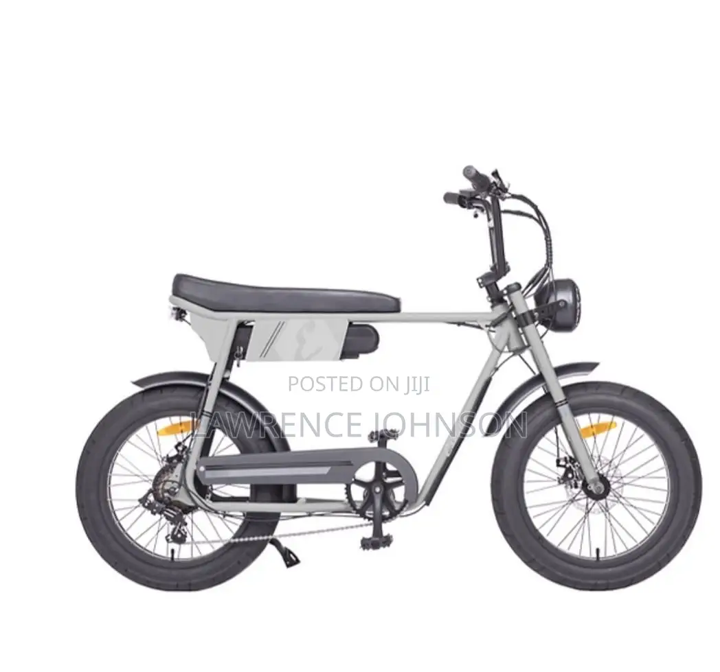 Electric Urban Bicycle