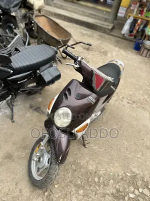 Yamaha 2024 Brown