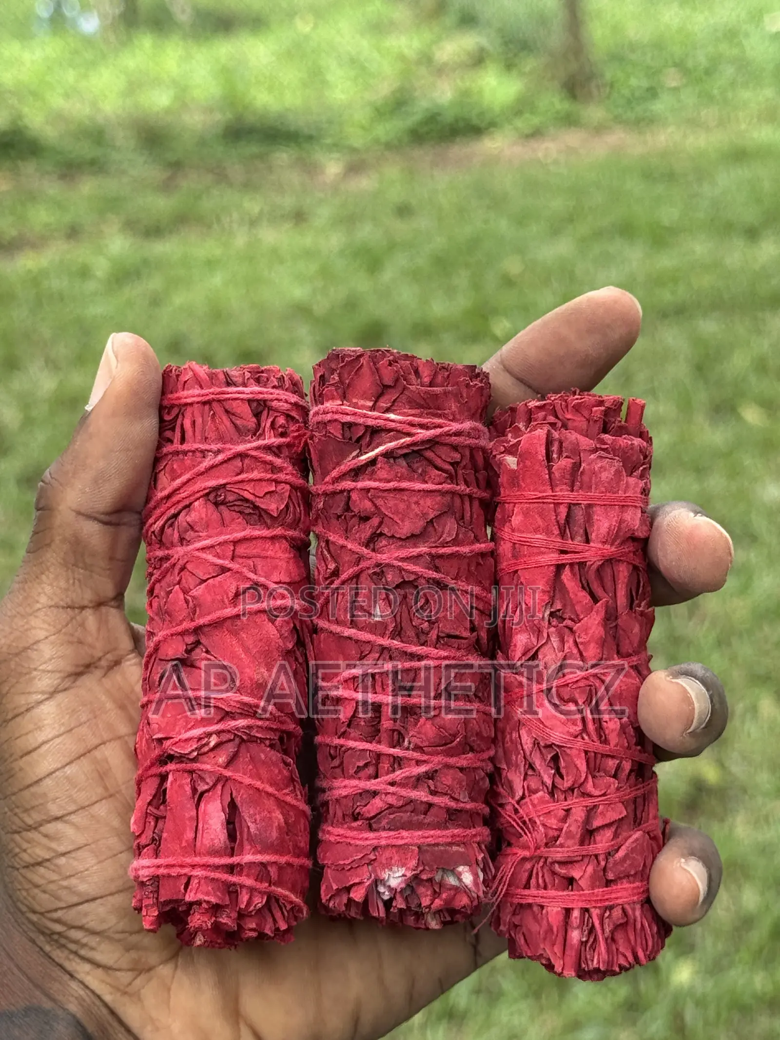 Dragon Blood Sage