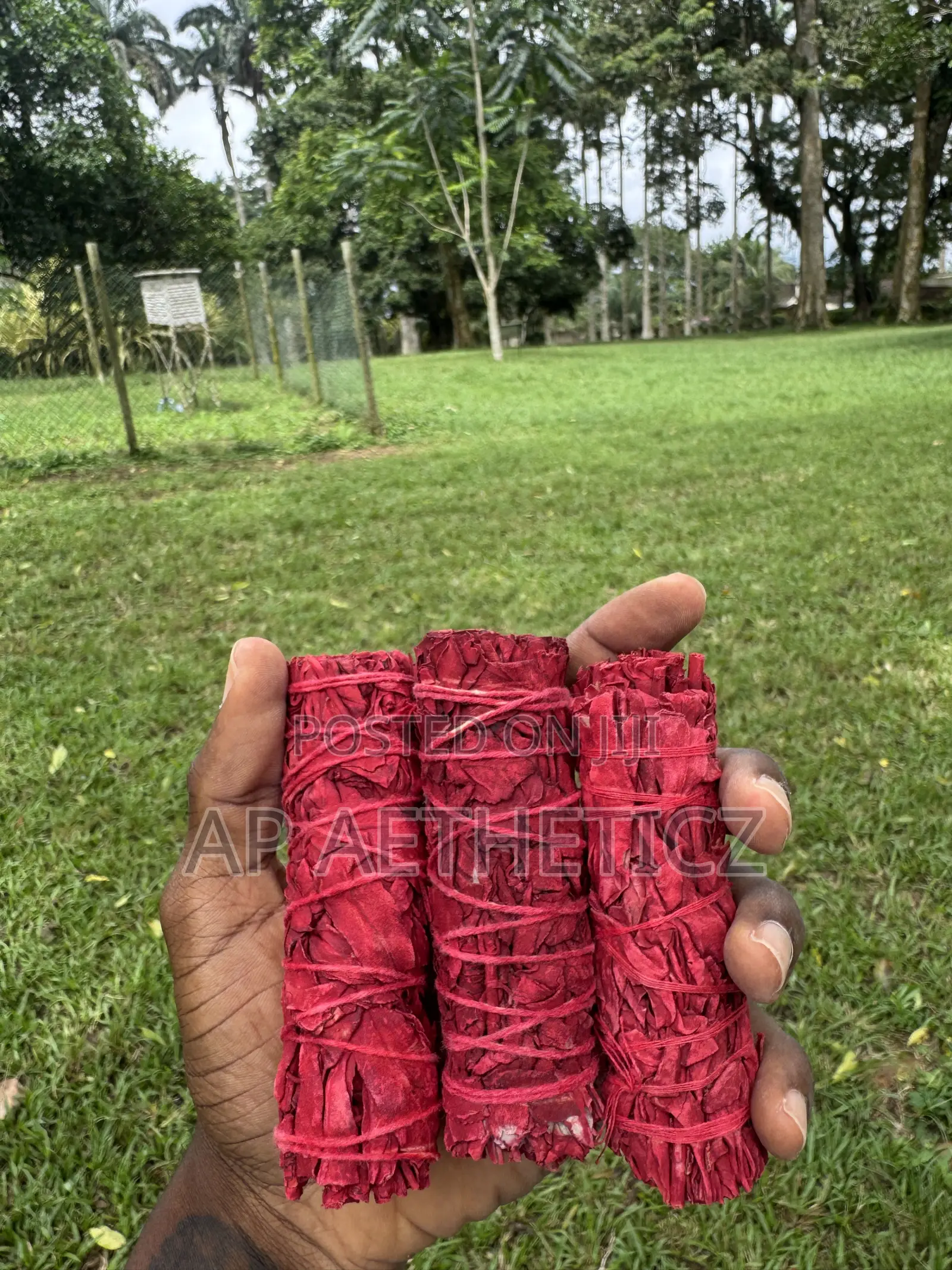Dragon Blood Sage