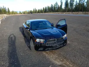 Dodge Charger 2011-2014 Model
