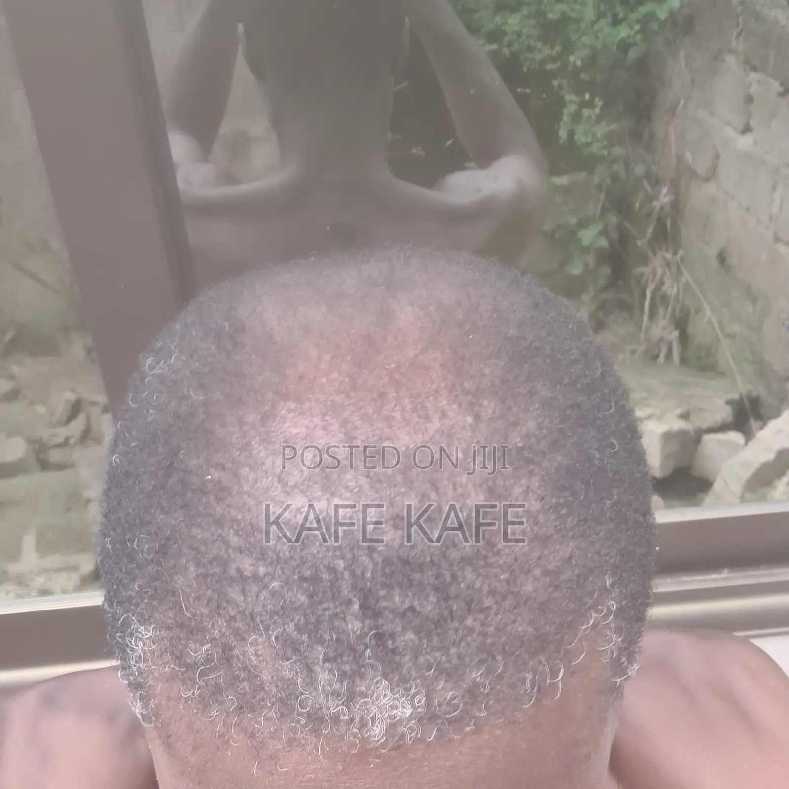 Borga Hair Growth
