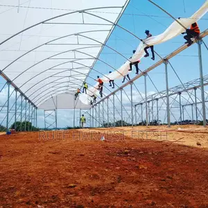 Farm Consultancy (Greenhouse and Open Field)