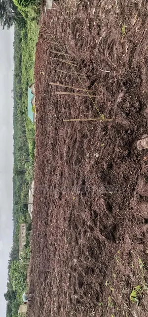 Farm Consultancy (Greenhouse and Open Field)