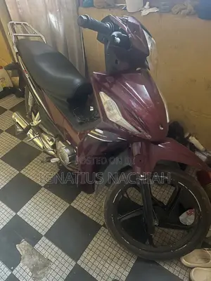 Apsonic AP110 2017 Brown