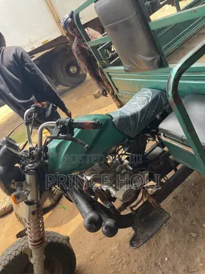 Luojia Cargo Tricycle 2021 Green