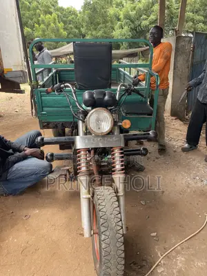 Luojia Cargo Tricycle 2021 Green