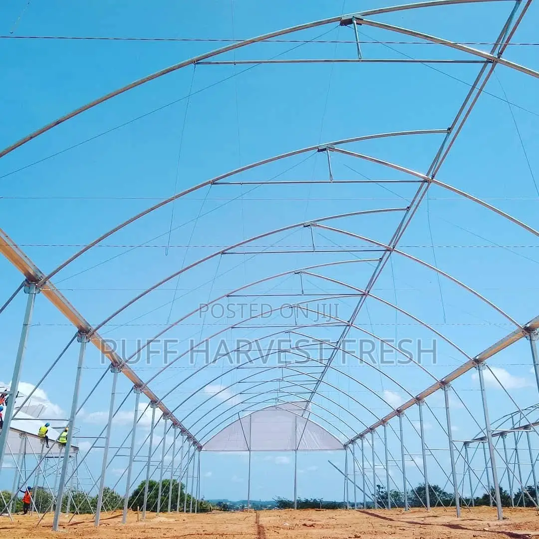 Farm Consultancy (Greenhouse and Open Field)