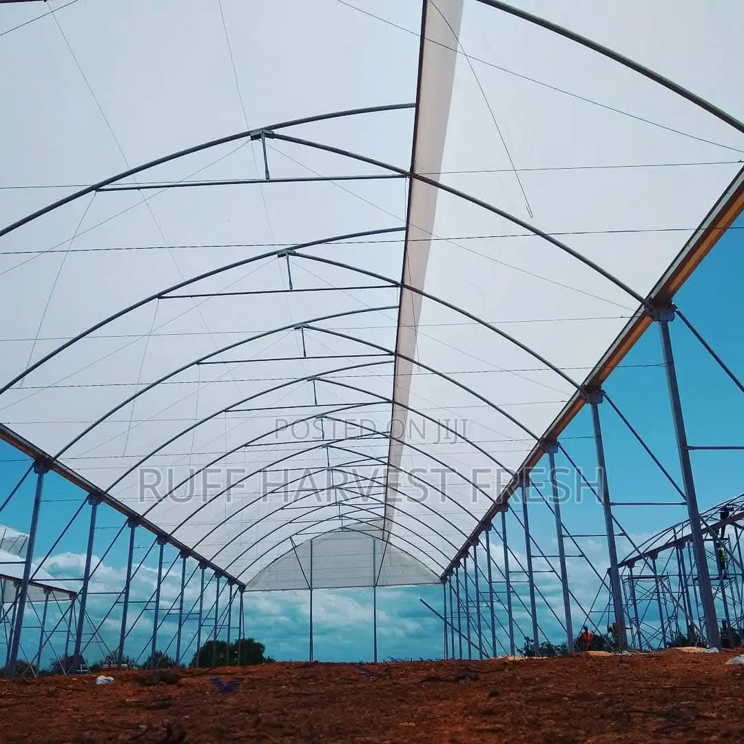 Farm Consultancy (Greenhouse and Open Field)