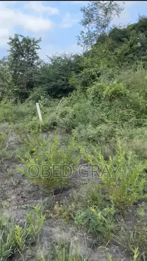 2 Plots of Land at Ho, Power House.