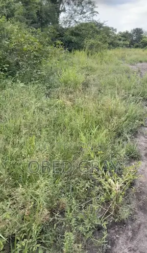 2 Plots of Land at Ho, Power House.