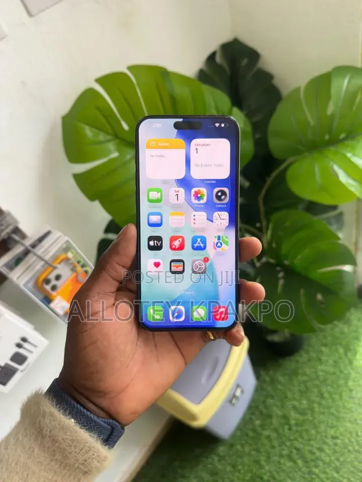 Apple iPhone 15 Pro Max 256 GB Black