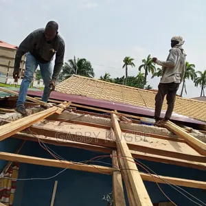 Roofing Expert and Roof Leakages Solver
