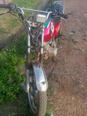 Royal RY125 2019 Red