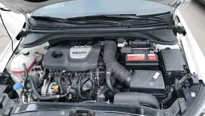 Hyundai Avante 2018 White
